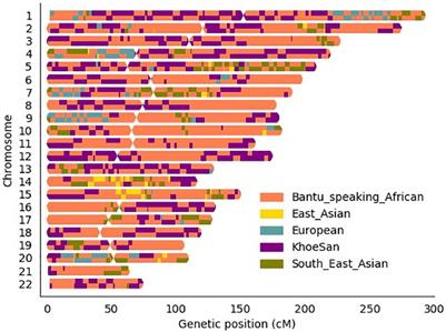 Local Ancestry Adjusted Allelic Association Analysis Robustly Captures Tuberculosis Susceptibility Loci